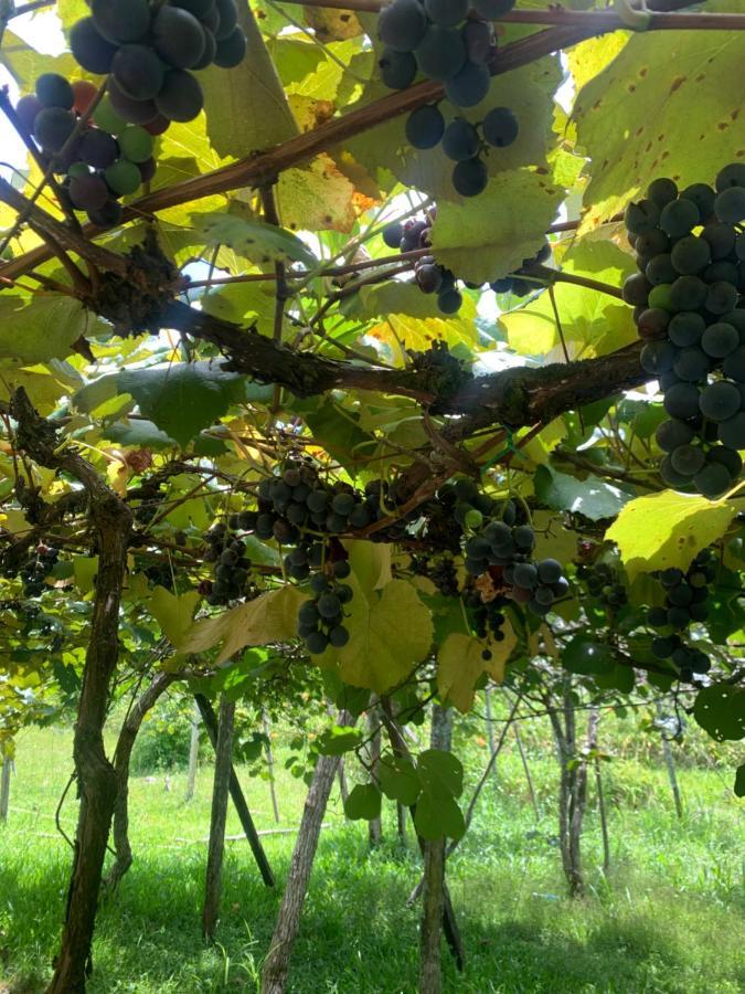 Willa Sitio Vale Dos Vinhedos Bento Gonçalves Zewnętrze zdjęcie